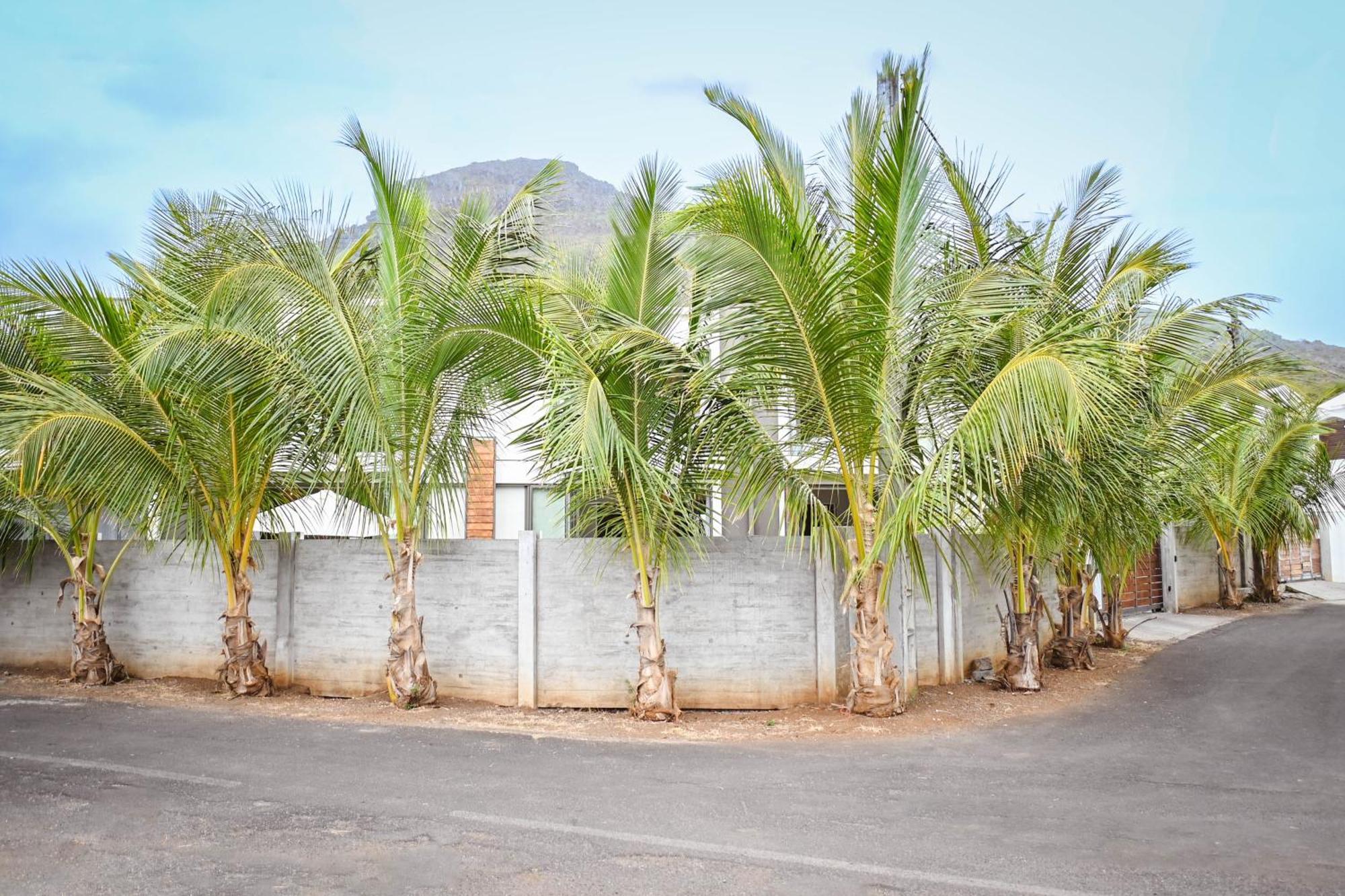 Bois Mapou Self Catering Unit 101 *